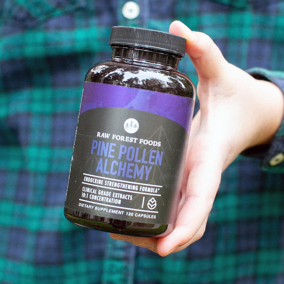Mountain Alchemy Pine Pollen Elixir Capsules » 120 Count Bottle