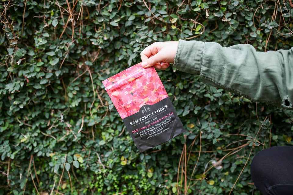 Farmer of Divinity RAW Camellia Flower Pollen Powder » 70 Gram Pouch