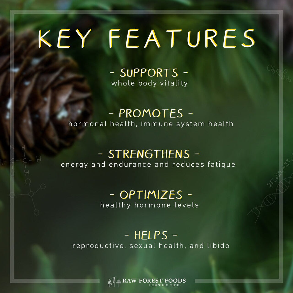 Forest Manna RAW Pine Pollen Tablets » Chewable » 140 Count Pouch