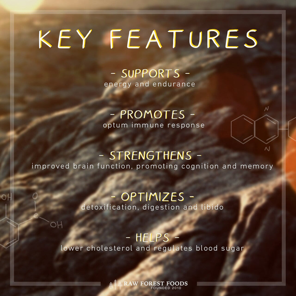 Mountain Manna Himalayan Shilajit Extract Capsules » 120 Count Bottle