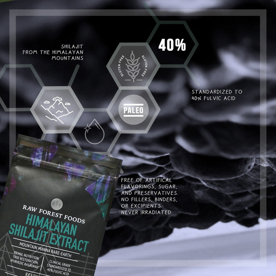 Mountain Manna Himalayan Shilajit Extract Powder » 70 Gram Pouch