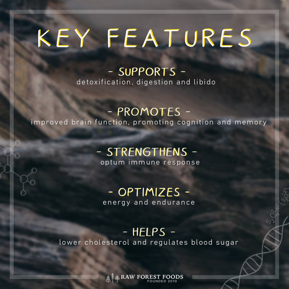 Mountain Manna Himalayan Shilajit Extract Powder » 70 Gram Pouch