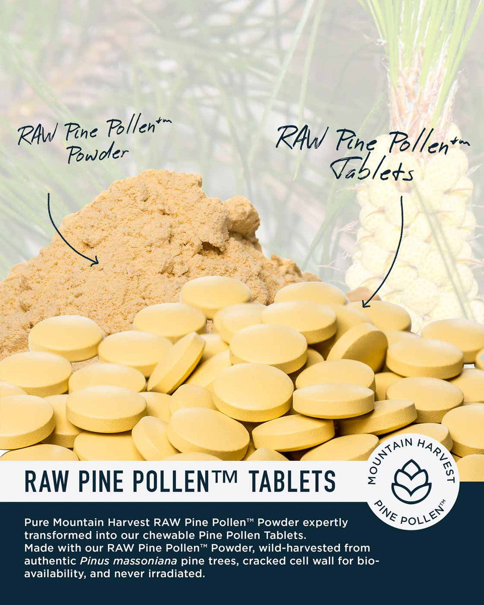 Forest Manna RAW Pine Pollen Tablets » Chewable » 140 Count Pouch