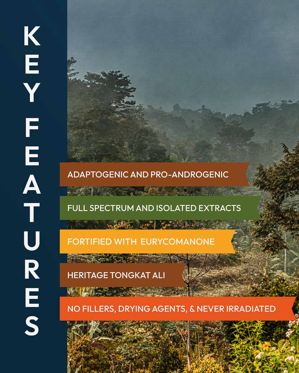 Tahna Prana Elevated Tongkat Ali Extract Powder » With Eurycomanone » 70 Gram Jar