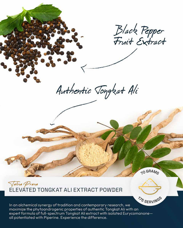 Tahna Prana Elevated Tongkat Ali Extract Powder » With Eurycomanone » 70 Gram Jar