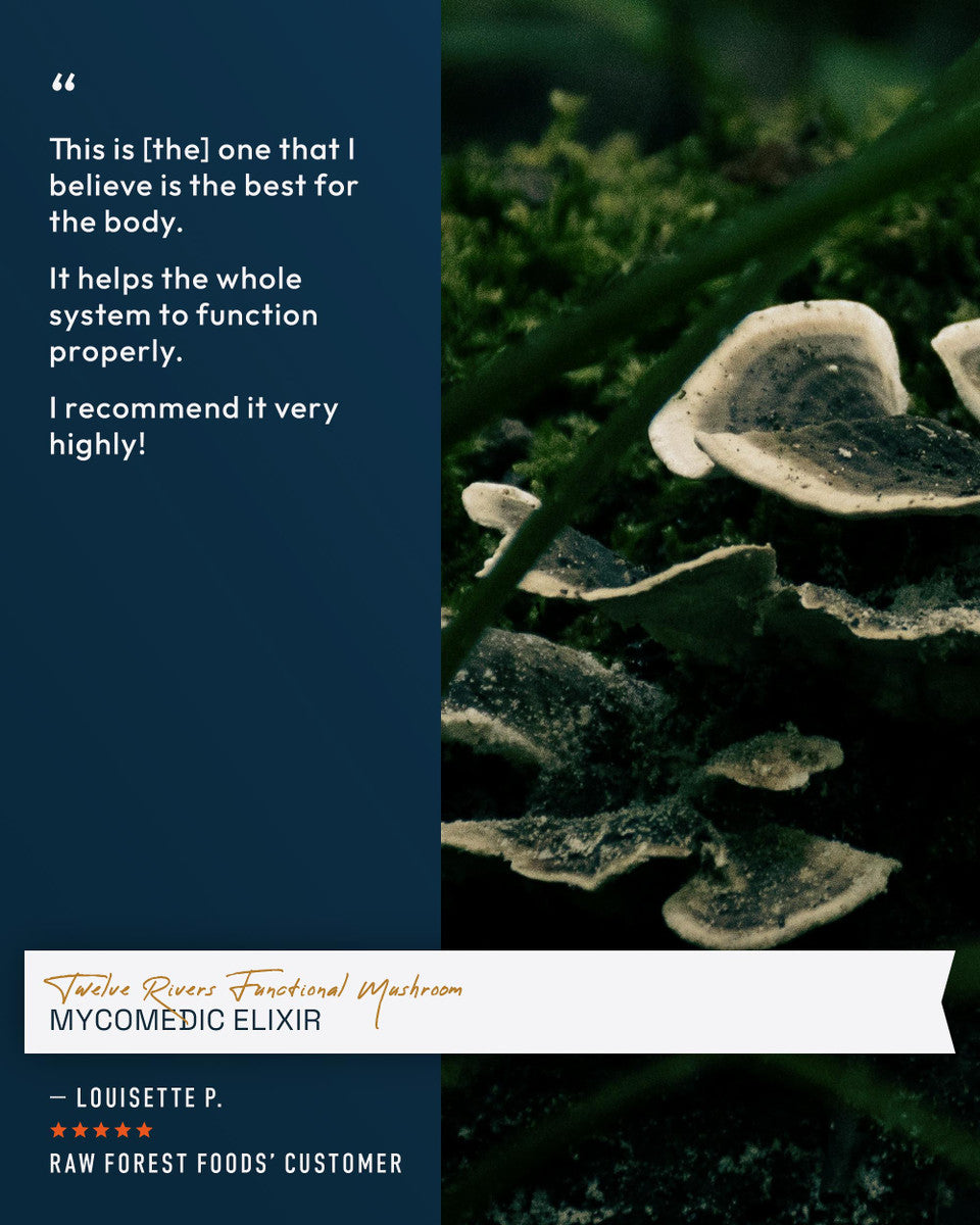 Twelve Rivers Functional Mushroom MycoMedic Elixir Tincture » 2 and 4 Ounce Bottles