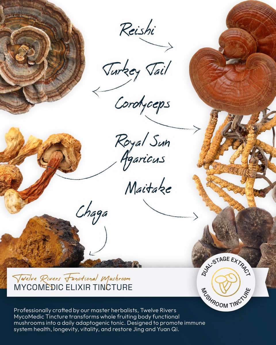Twelve Rivers Functional Mushroom MycoMedic Elixir Tincture » 2 and 4 Ounce Bottles