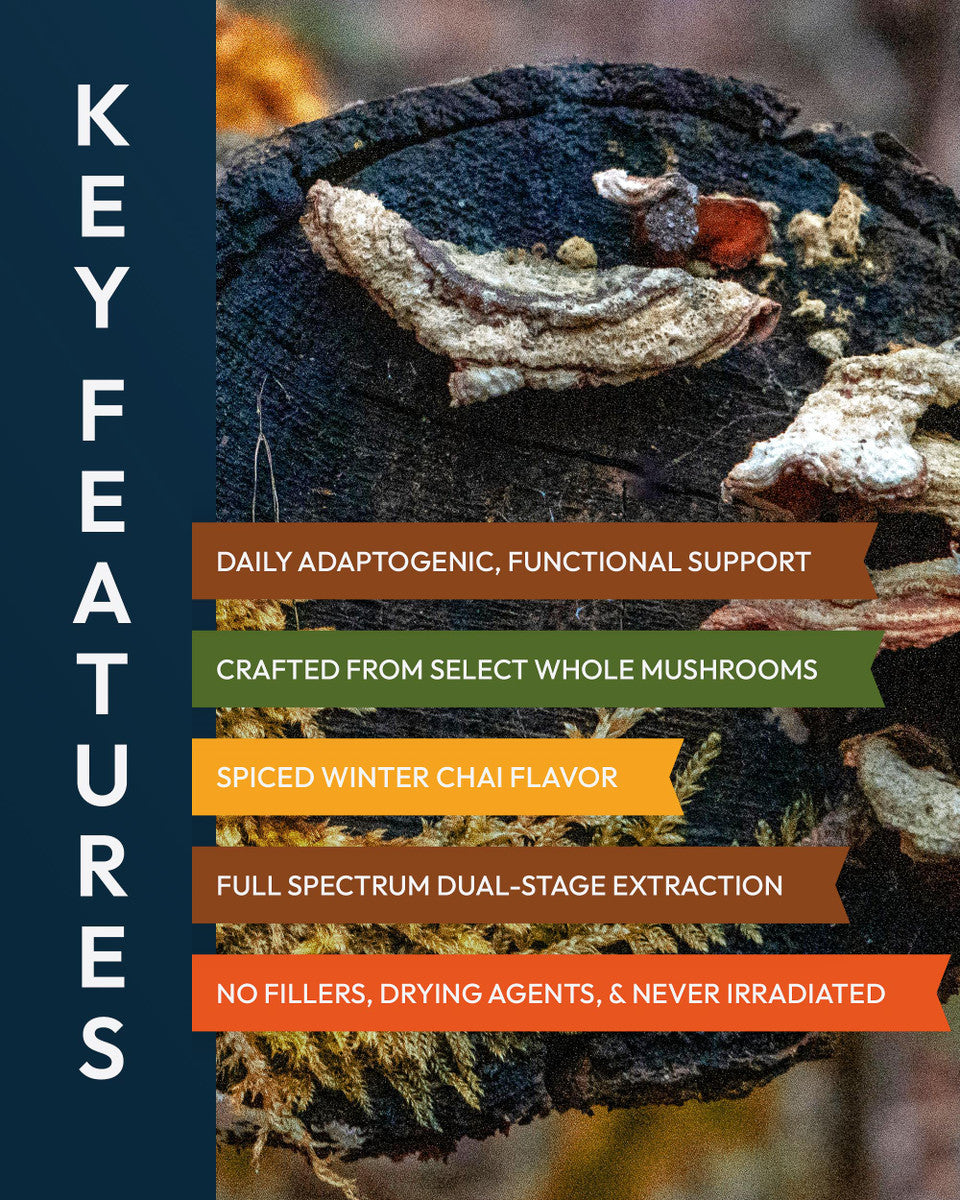 Twelve Rivers Functional Mushroom MycoMedic Elixir Tincture » 2 and 4 Ounce Bottles