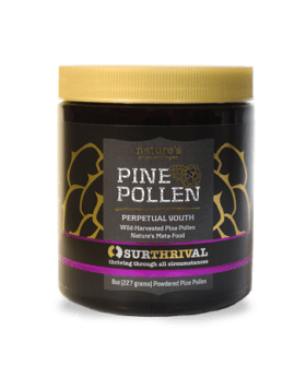 Perpetual Youth Pine Pollen 8 oz