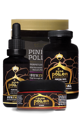 Pine Pollen